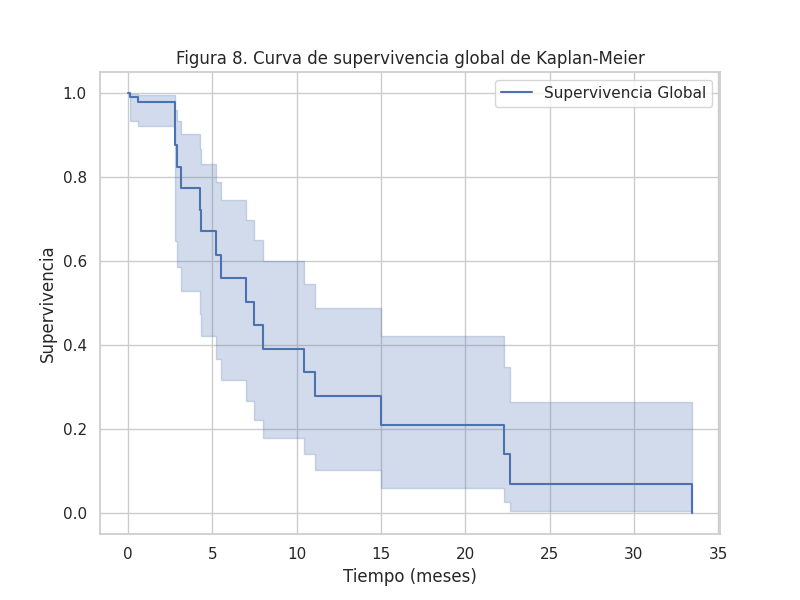 Curva Kaplan-Meier anonimizada de supervivencia global